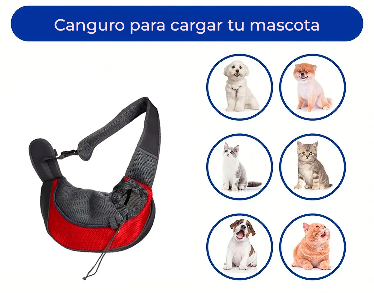 ¡Lleva a tu peludito a cualquier lugar! 🐶 🐱